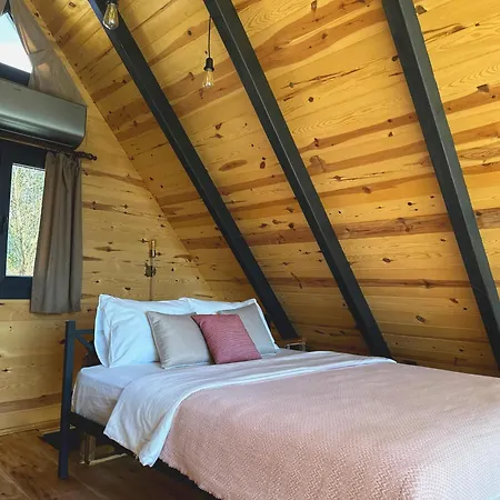 Chalet Arte Ardesen